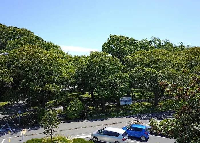 Hagley Park Views